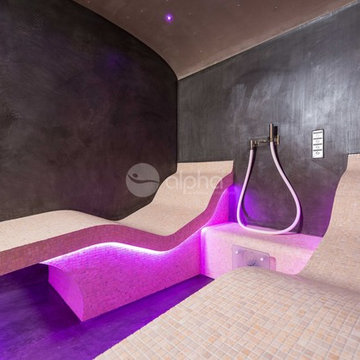 Project Sauna + Infrared Lounger + Steam Room