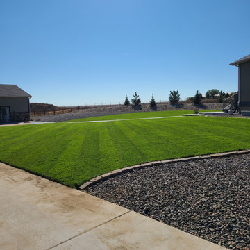 Landscaping Renovation (Berm, Irrigation System, Sod, Trees, Hardscaping)