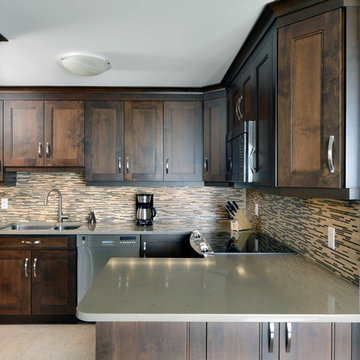 Westboro Condo Renovation