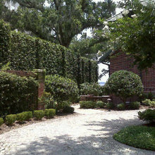 Landscape Ideas
