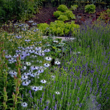 flowering vegetable garden