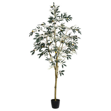 Vickerman Potted Olive Tree, 6'