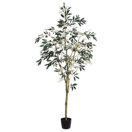 Vickerman Potted Olive Tree, 6'