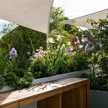 Gartenprofi verwandelt Münchner Dachterrasse zum Blütenmeer