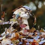 Angela Leake's photo