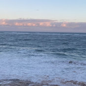 Ariel W.'s photo