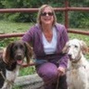 Lori Hurwitz's photo