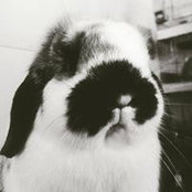 Jacob Lenander's photo