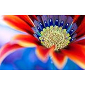Carla Mariani's photo