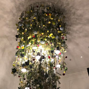 Foto von designmom2