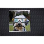 Andrew Kotar's photo