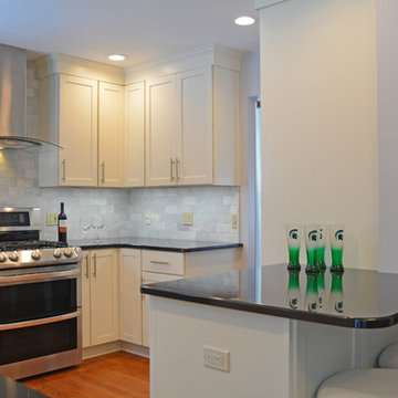 Spartan Fan's Kitchen Design - Williamston