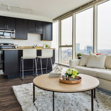 Chestnut Street Downtown Philly Apartment Interior Design