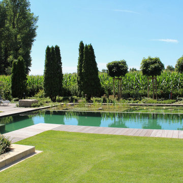 Schwimmteich modern