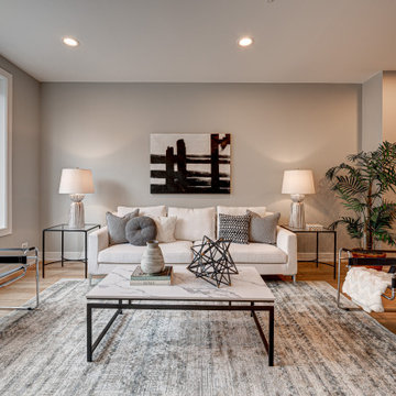 2448 W Diversey - New Construction Development