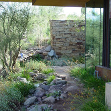 Xeriscape