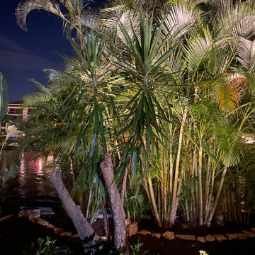 After - Landscape Lighting