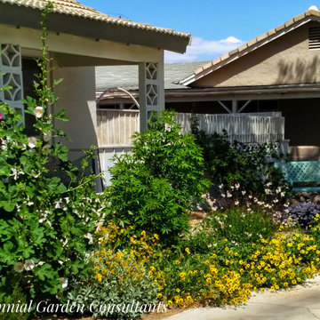 A Desert Cottage Garden