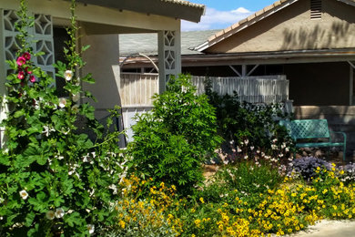 Design ideas for a drought-tolerant front yard landscaping in Las Vegas.