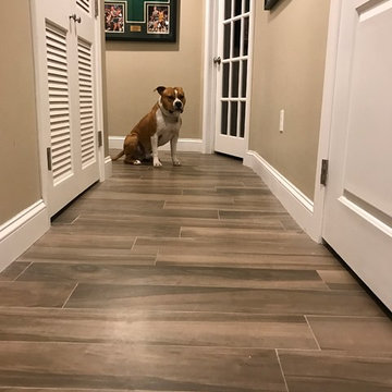 Basement Renovation