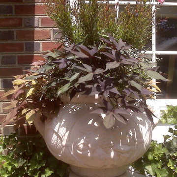 Container Gardens