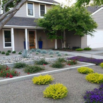 Drought Tolerant Plants