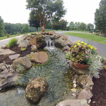 Large Scale Pond Project