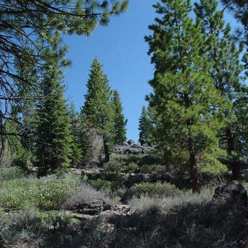 Lot For Sale - 13204 Snowshoe Thompson, Lahontan Subdivision