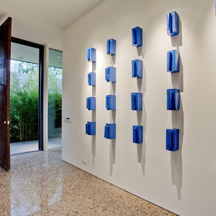 ダラスのモダンスタイルのおしゃれな玄関 (テラゾーの床) の写真