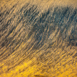 Douglas Page Photographic Arts - Sandprints Designer Series No.27 - Prints And Posters