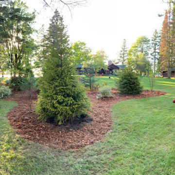 Instant Forest in Wisconsin