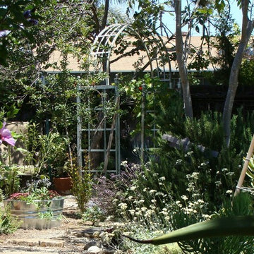 Costa Mesa 2011