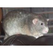 Naomi West's photo