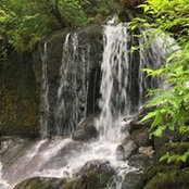 Laura Moore's photo