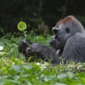 Junko Nakashima's photo