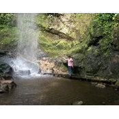 Ina Shumaker's photo