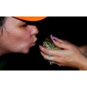 Jennifer Seymour-Rhodes's photo
