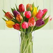 Audrey Smith's photo