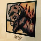 Mike Grills's photo