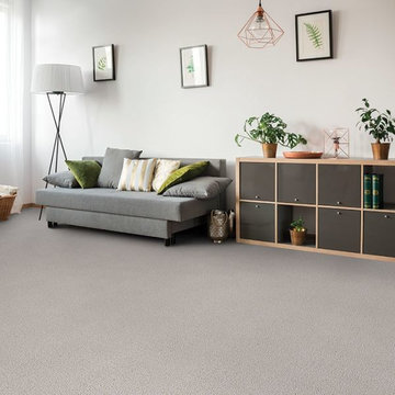 Carpet Inspiration