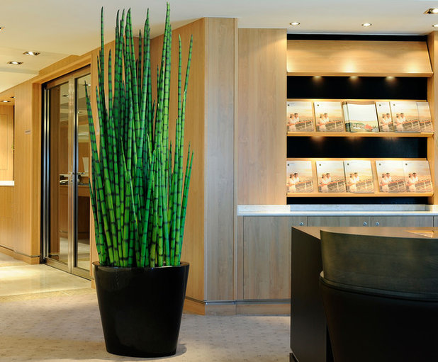 Гостиная by Emilio Robba