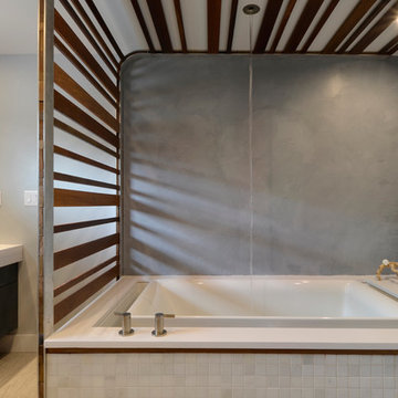 Lakeway Master Bath