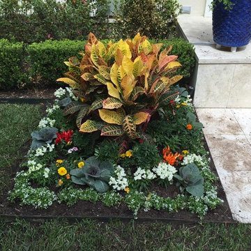 Driveways & Entry Landscape