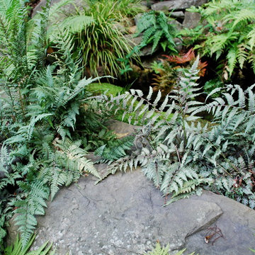 Favorite Plants and Cool Stuff