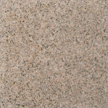 MSI TGIAFAN1212 12" x 12" Square Wall & Floor Tile - Smooth - Polished