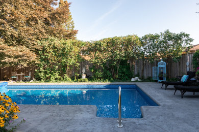 Foto di una piscina minimalista rettangolare di medie dimensioni e dietro casa con paesaggistica bordo piscina e cemento stampato