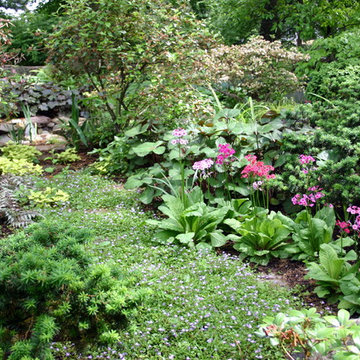 Sensational Shade Gardens