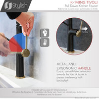 STYLISH Single Handle Pull-Down Dual Mode Kitchen Faucet in Matte Black/Gold