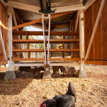 Toro Cyn Chicken Coop