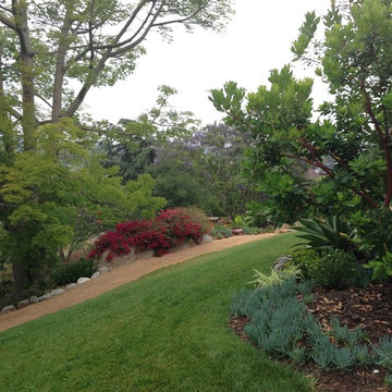 Design Build: Vista Botanical Home
